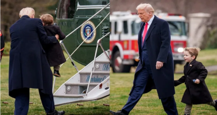 donald trump trump elon musk son